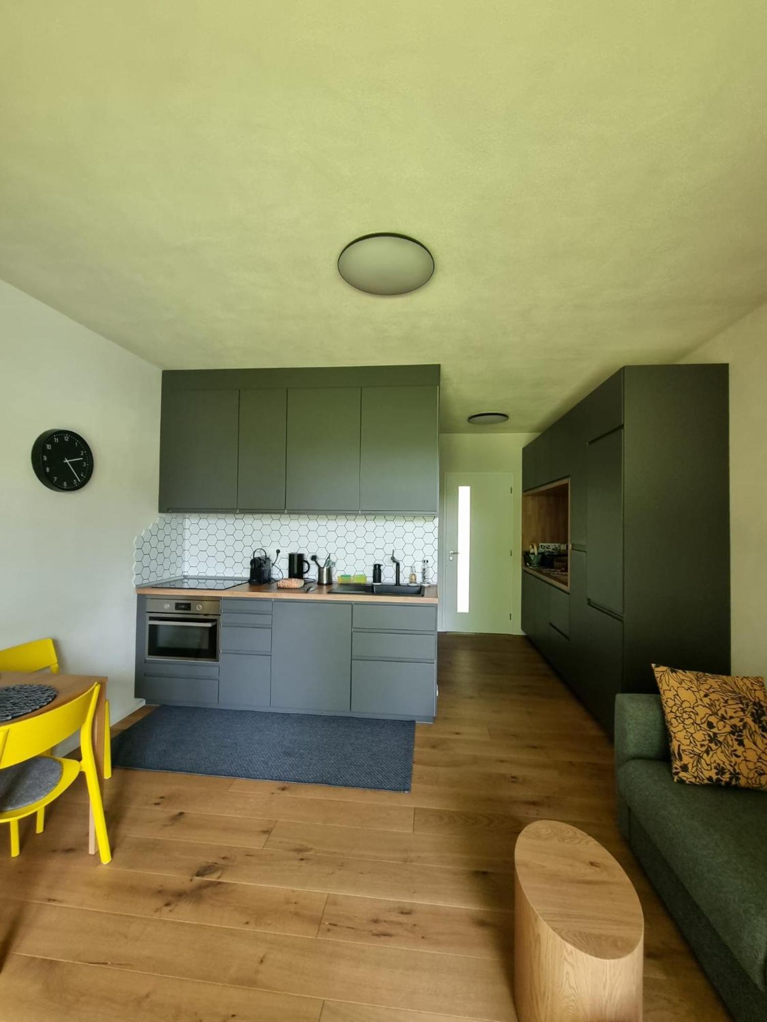 Apartman Berg Brcalnik Železná Ruda Buitenkant foto