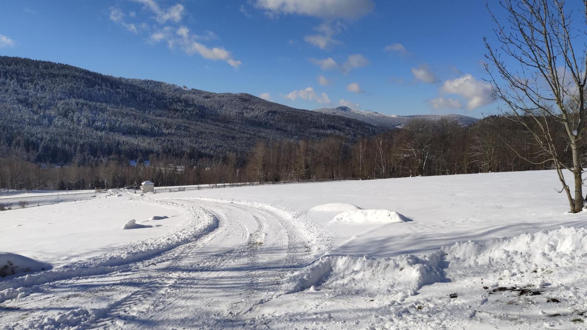 Apartman Berg Brcalnik Železná Ruda Buitenkant foto
